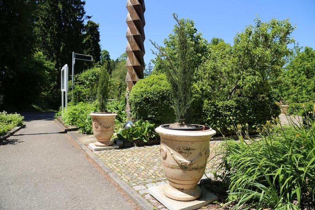 Villa Hedwig Badenweiler Luaran gambar