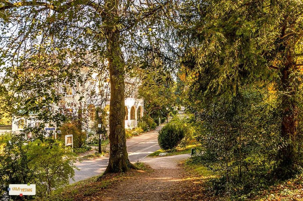 Villa Hedwig Badenweiler Luaran gambar