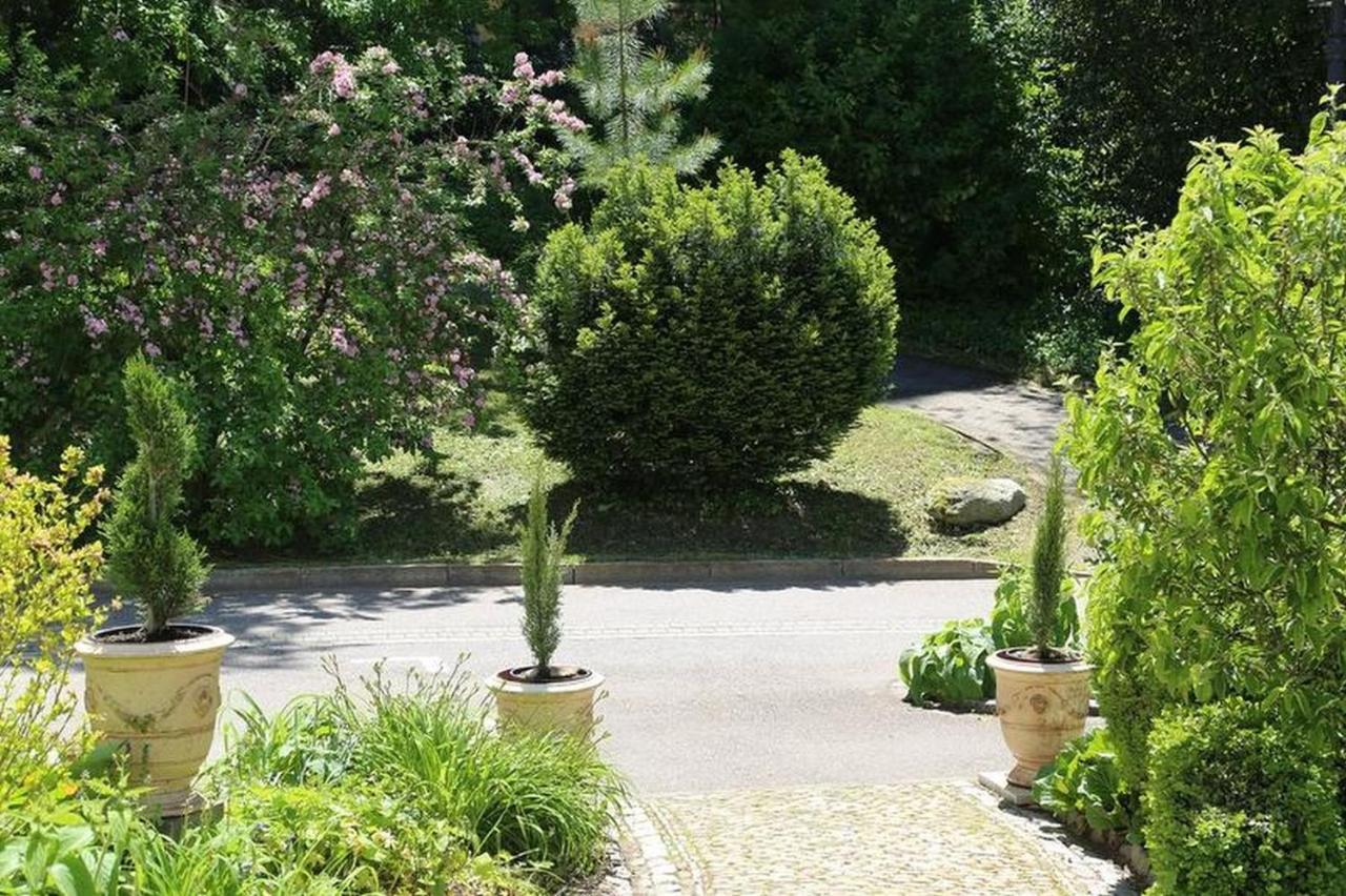 Villa Hedwig Badenweiler Luaran gambar