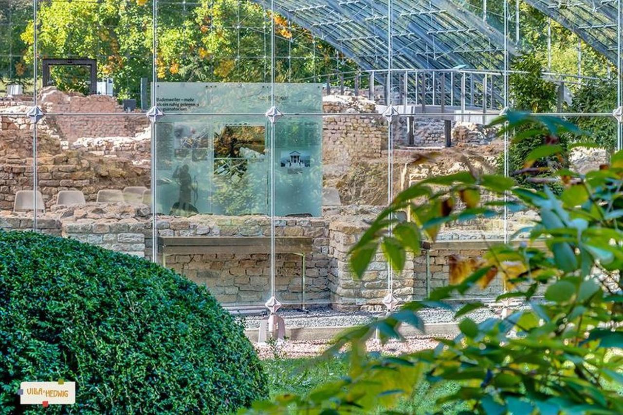 Villa Hedwig Badenweiler Luaran gambar