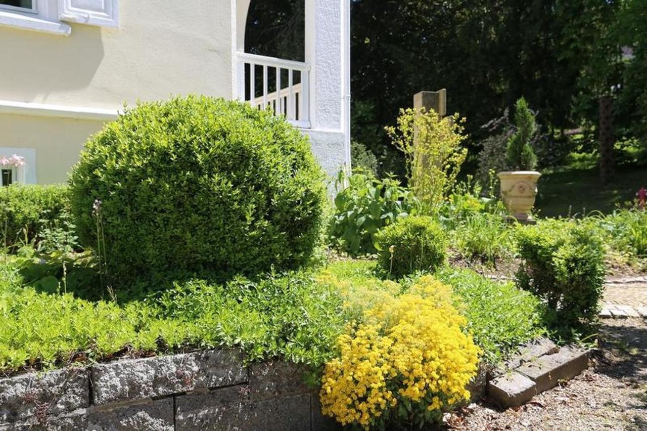 Villa Hedwig Badenweiler Luaran gambar